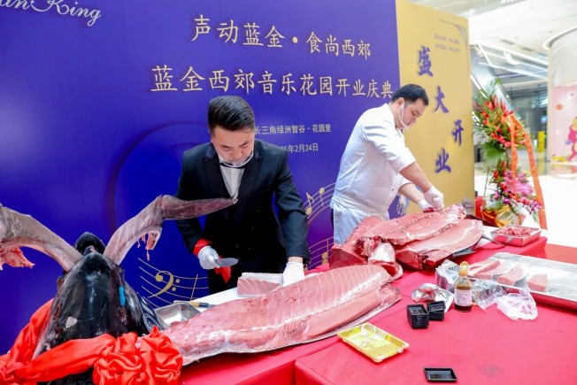 以音乐、美食与人文共筑全龄友好新地标 ——蓝金西郊音乐花园盛大启幕-mansion88新闻-mansion88动态-mansion88